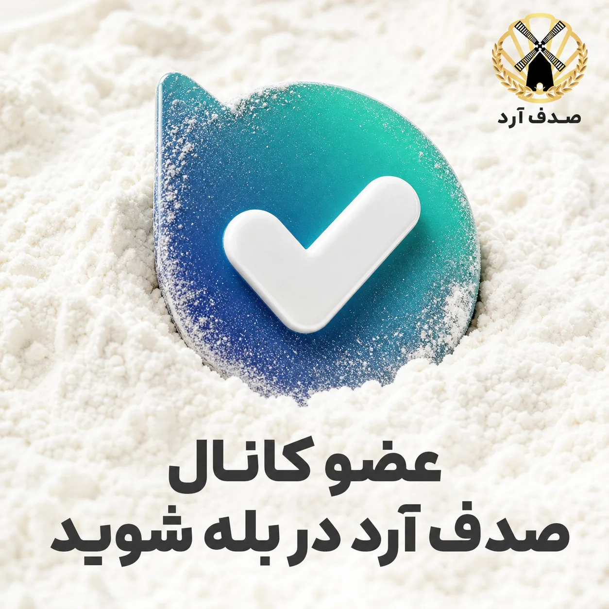 بله صدف آرد