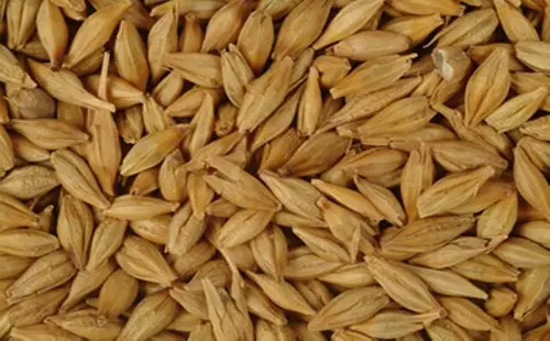 جو چیست و دلایل اهمیت آن