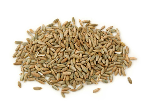 دانه چاودار یک دانه غلات است که نزدیک به گندم و جو است. این در اروپای شرقی محبوب است و بیشتر محصولات کشاورزی در روسیه، لهستان و آلمان رشد می کند. بسیاری از غذاهای رایج و نوشیدنی شامل چاودار، از جمله نان ، کراکر، آبجو و ویسکی هستند.
