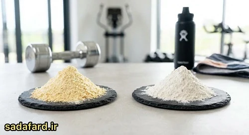 تفاوت آرد گندم سبوس دار و آرد سفید از دیدگاه تغذیه ورزشی
