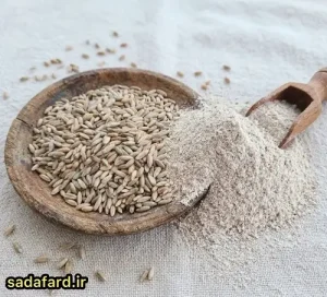 خرید آرد چاودار اصل با کیفیت بالا و خالص از صدف آرد