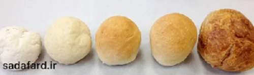 تفاوت آردها از نظر میزان گلوتن