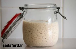 ویژگی های پیش تخمیر پولیش