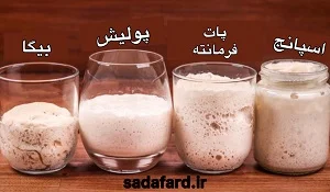 پیش خمیر چیست