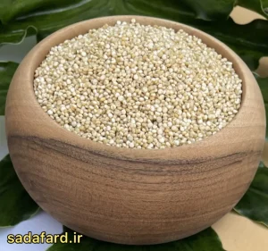 دانه کینوا بهترین انتخاب برای رژیم سالم