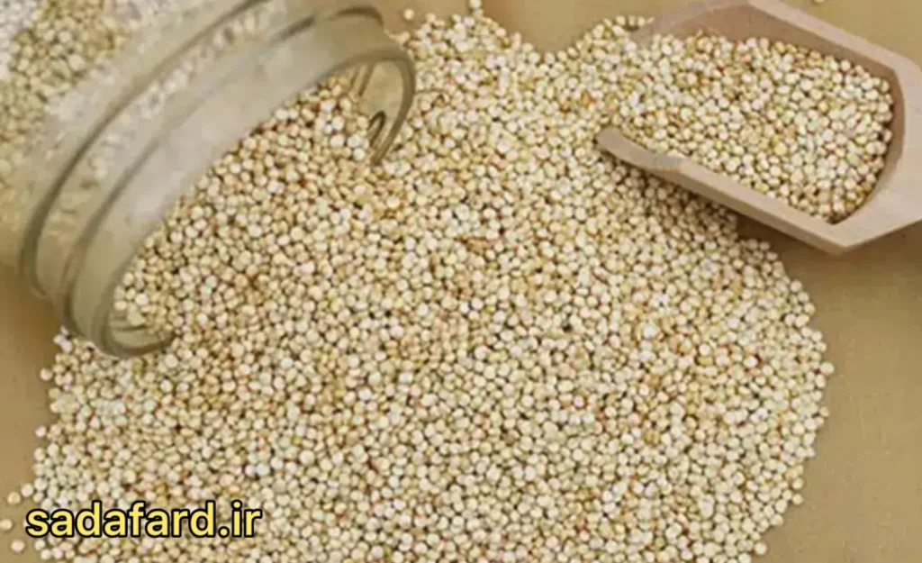 خواص دانه کینوا