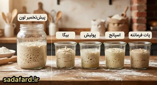 تفاوت پیش تخمیر لون با پولیش بیگا اسپانج پات فزمانته